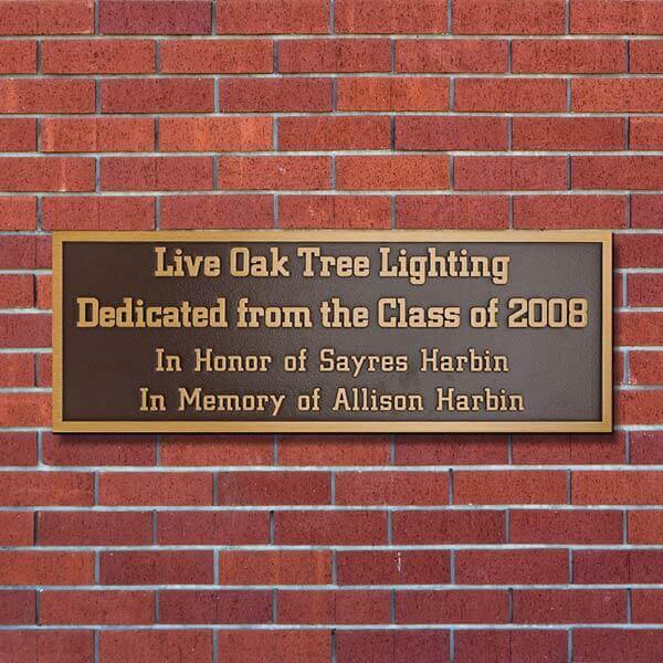 Live Oak Tree Lighting Dedication