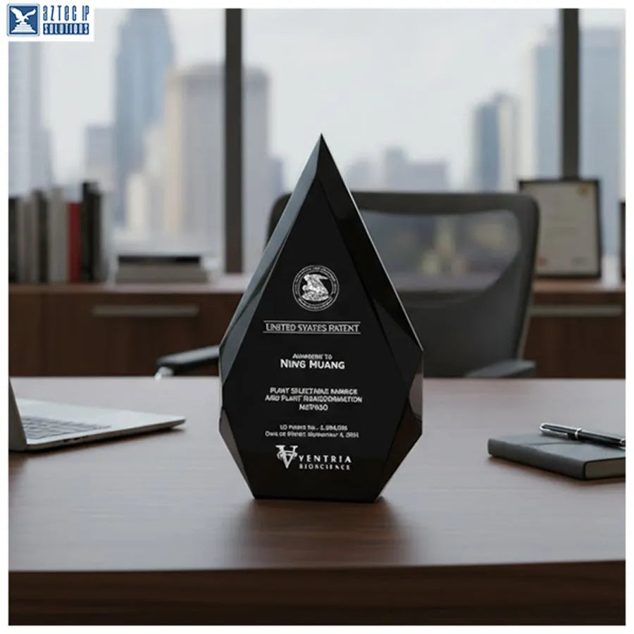 Acrylic flame trophy