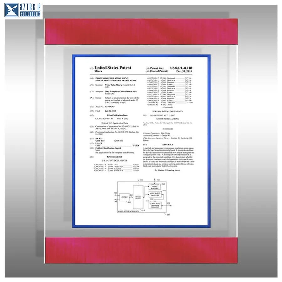 Professional patent display