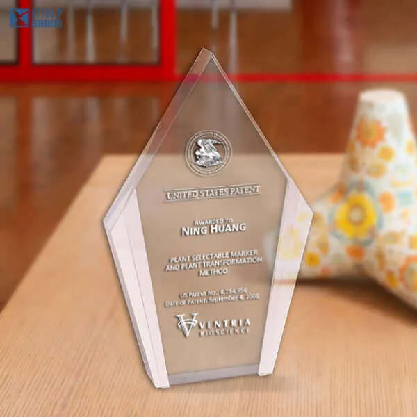 Modern corporate awards