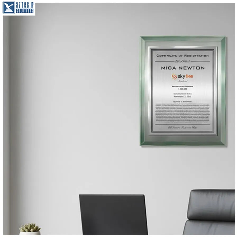 brand identity showcase